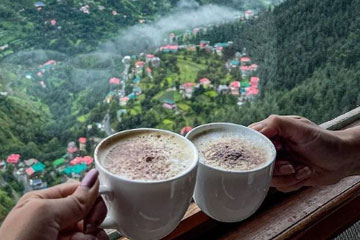 Honeymoon Tour Packages India